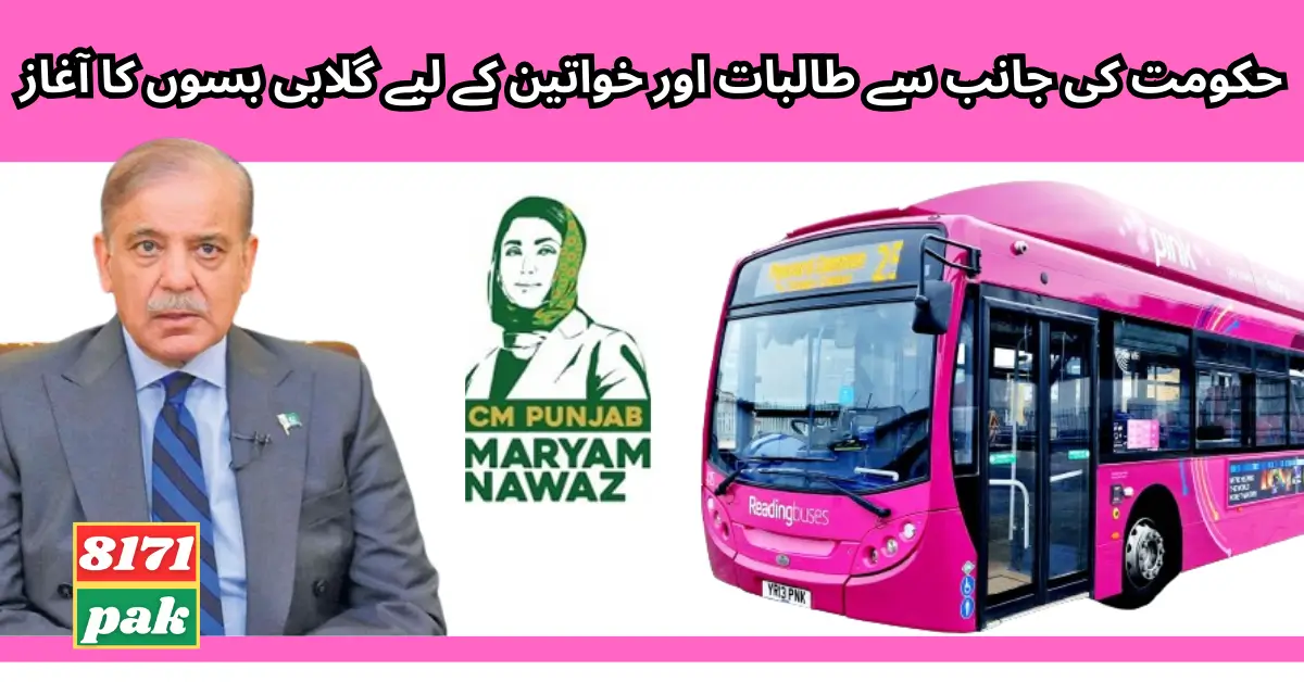 Govt Launch Of Pink Buses For Students and Women